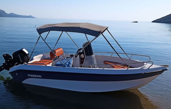 Boat without licence  Poseidon Blu Water 170 30hp