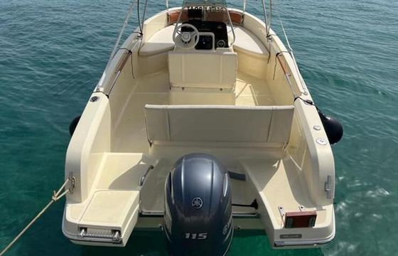Motorboat Invictus 190FX