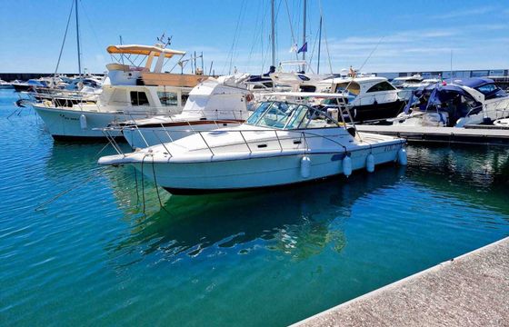Motorboat Pursuit 3000 Express 500hp