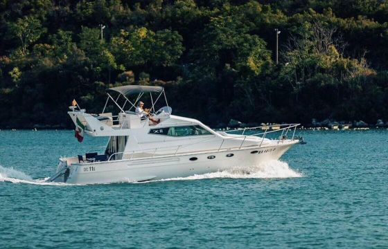 Motorboat Dellapasqua & Carnevali DC11 DC11 600hp