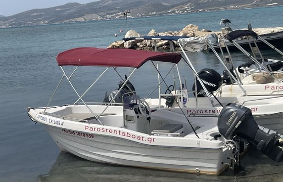 Boat without licence  Al Open 30hp