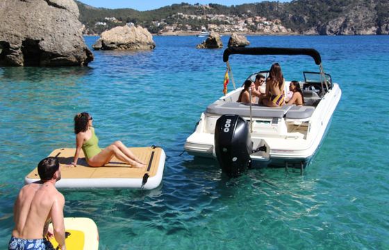 Motorboat Bayliner Vr6 200hp