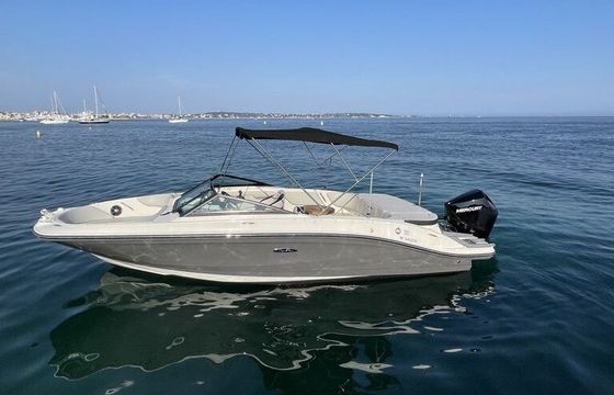 Motorboat Sea Ray SPX 210 200hp