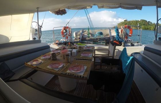 Catamaran NAUTITECH 47 15.5m