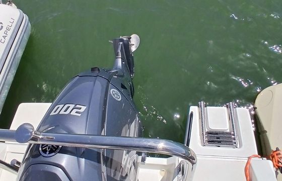 Motorboat Beneteau FLYER 7 200hp