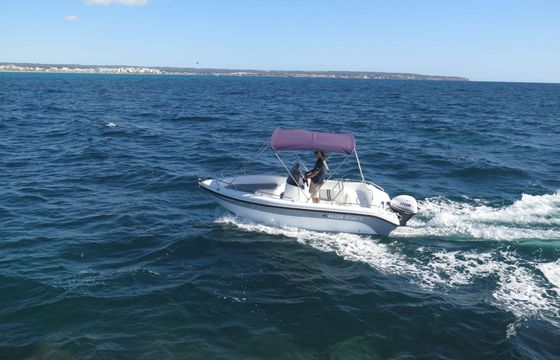 Boat without licence  Poseidon 170 Blu Water 15hp