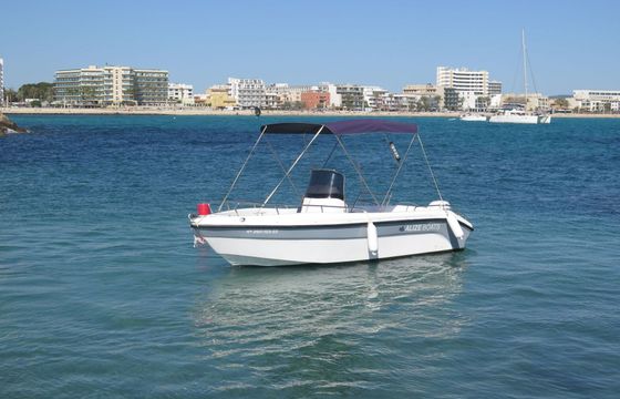 Boat without licence  Poseidon 170 Blu Water 15hp