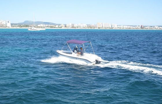 Boat without licence  Poseidon 170 Blu Water 15hp
