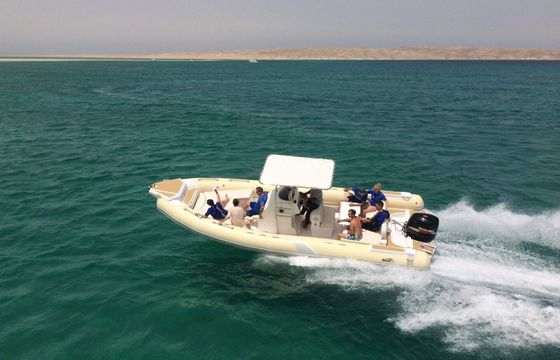 RIB Bullet Speedboats Custom 250hp