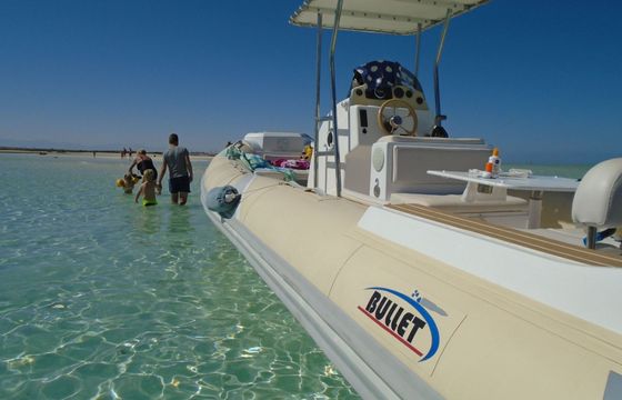 RIB Bullet Speedboats Custom 250hp