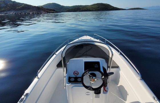 Motorboat Poseidon Blue water 170 30hp