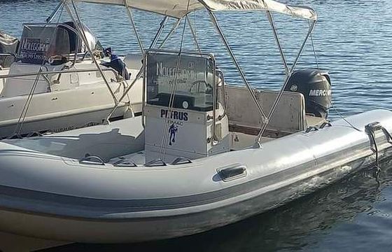 Boat without licence  Lomac Nautica lomac 500 40hp