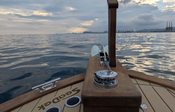 Motorboat Electric Inside Elèctrica 800 40hp