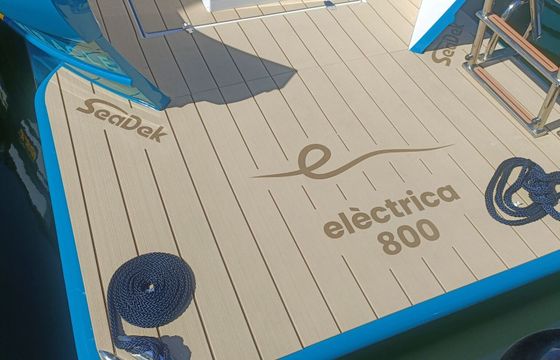 Motorboat Electric Inside Elèctrica 800 40hp
