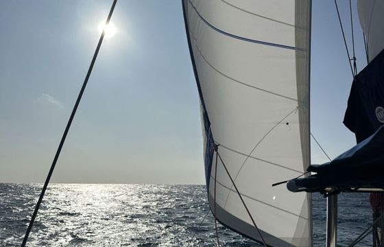 Catamaran Lagoon Lagoon 380 11.56m