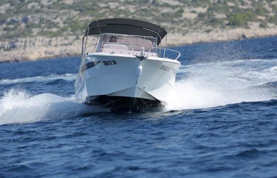 Motorboat Atlantic Marine Atlantic 750 Sun Cruiser 250hp