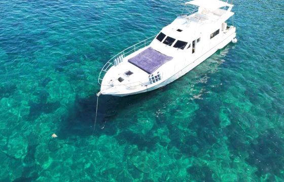 Motor yacht Guy Couach 170 FLY 960hp