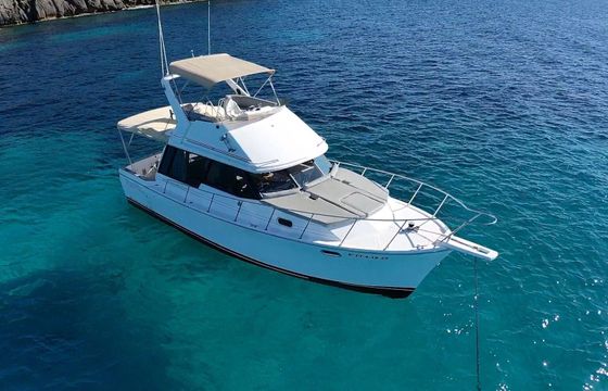 Motorboat Bayliner 3288 flybridge 400hp