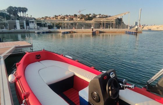 Boat without licence  Whaly Boats 435-R 15hp