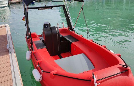 Boat without licence  Whaly Boats 435-R 15hp