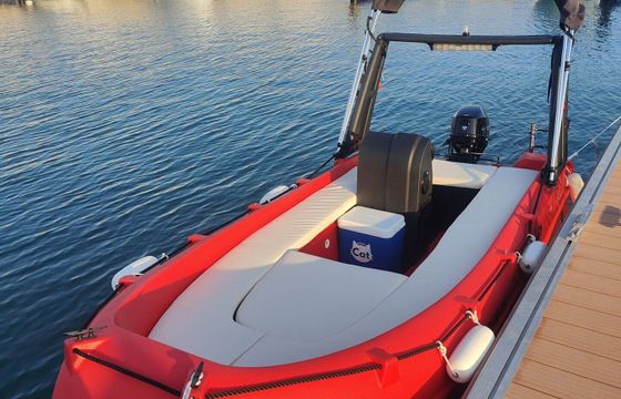 Boat without licence  Whaly Boats 435-R 15hp
