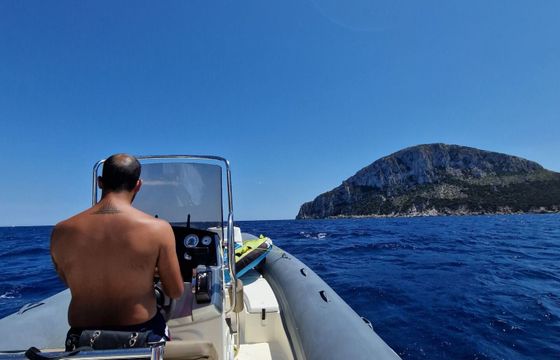 RIB Bwa 26 SPORT 19 250hp