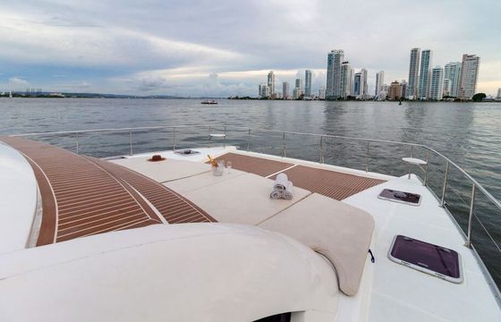 Catamaran Leopard 47 14.3m