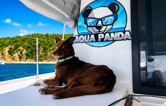 Catamaran Fountaine Pajot Lucia 40 12m