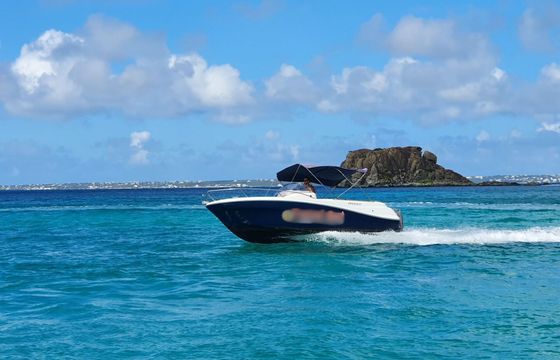 Motorboat Jeanneau CAP CAMARAT 6.5 WA 150hp