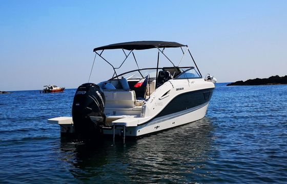 Motorboat QUICKSILVER ACTIV 805 CRUISER 350hp