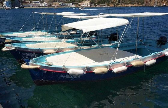 Boat without licence CUSTOM Lancia 530 15hp