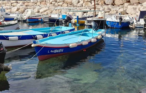 Boat without licence CUSTOM Lancia 530 15hp