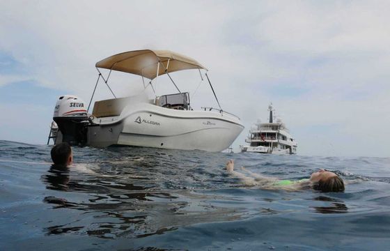 Motorboat Allegra Allegra 21 open 115hp