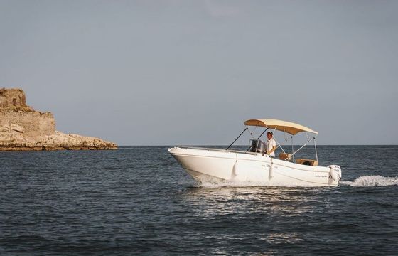 Motorboat Allegra Allegra 21 open 115hp