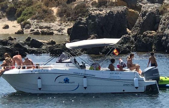 Motorboat PACIFIC CRAFT 750 Open 225hp
