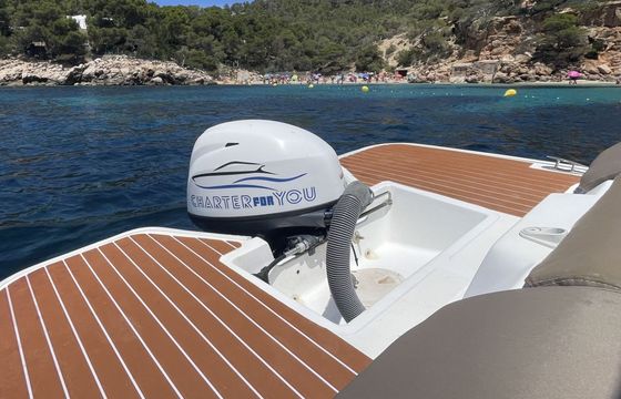 Boat without licence  V2 5.0 15hp