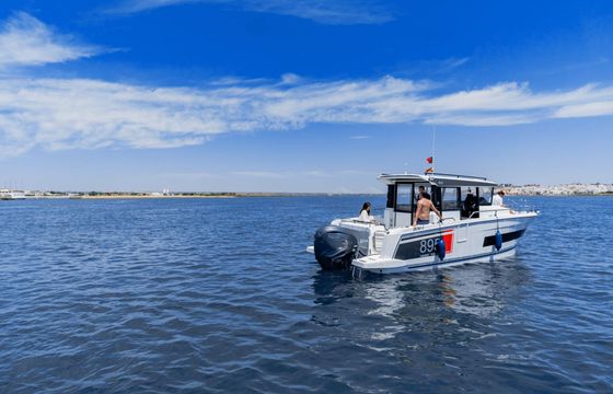Motorboat Jeanneau Merry Fisher Sport 895 425hp