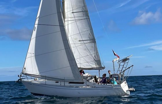 Sailboat Sea Master Seamaster 925 9.16m