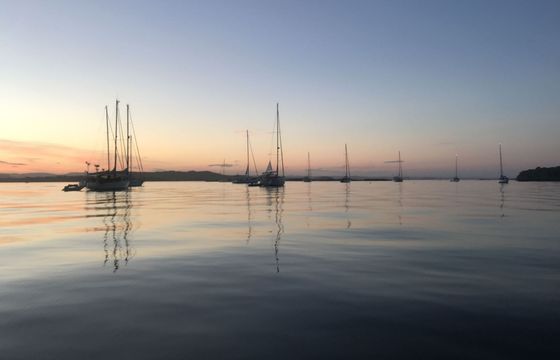 Sailboat Bavaria 50 CR 15m