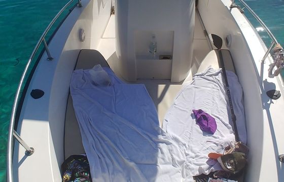 Motorboat Anorti 150 hp 150hp