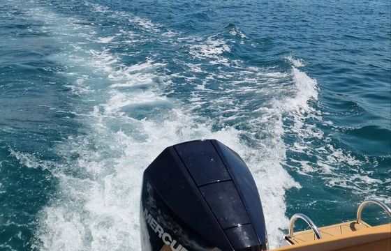 Motorboat PRUA AL VENTO JAGUAR 7.0 200hp