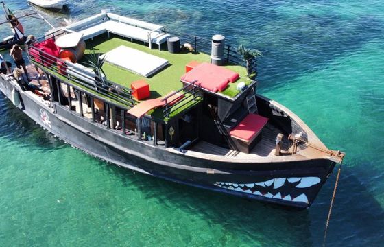 Motorboat Construction Amateur Bateau Pirate 115hp