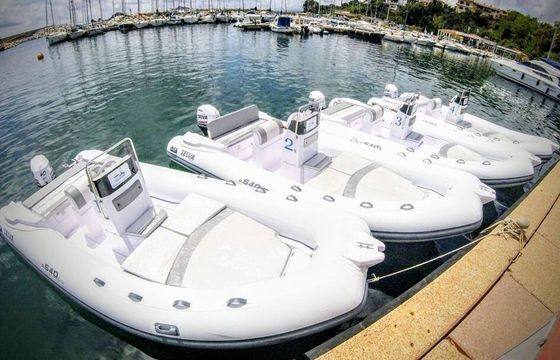 Boat without licence  Selva Marine D 540 40hp