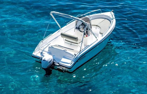 Motorboat Poseidon Blue water 170 40hp