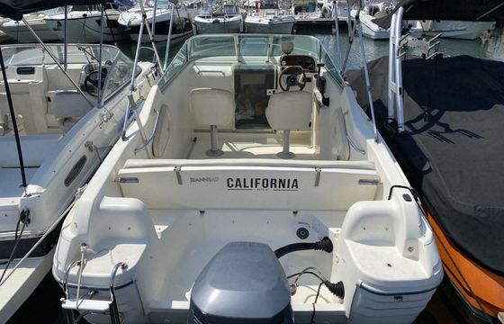 Motorboat Jeanneau Leader 605 115hp