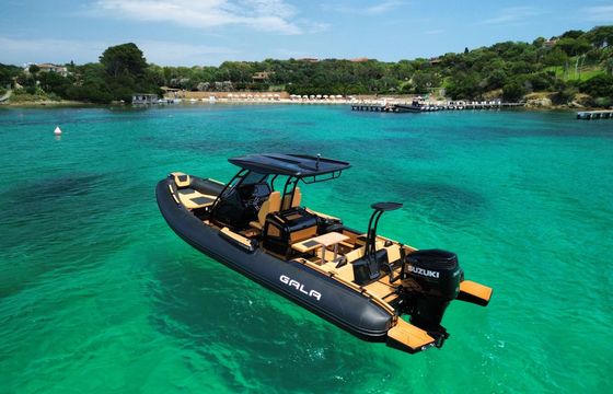 RIB Gala V8 300hp