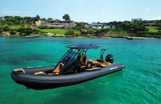 RIB Gala V8 300hp