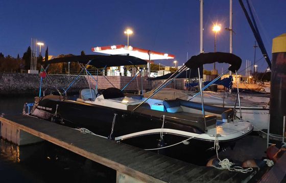 Motorboat Bayliner Element XR7 150hp
