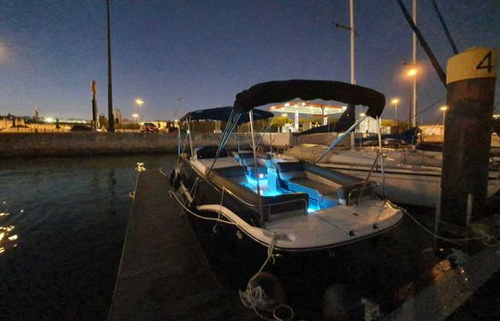Motorboat Bayliner Element XR7 150hp