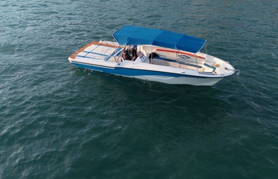 Motorboat Century Mercan 36